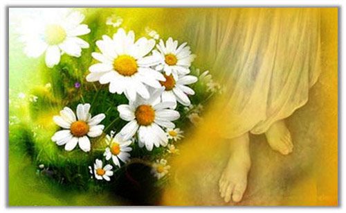 انتظار و شناخت بهتر امام عصر (عج)