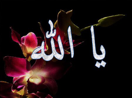 طریقه ختم ذکر یا الله